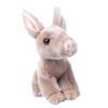 Sitting Aardvark